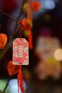 tiến lên trực tuyến Debet